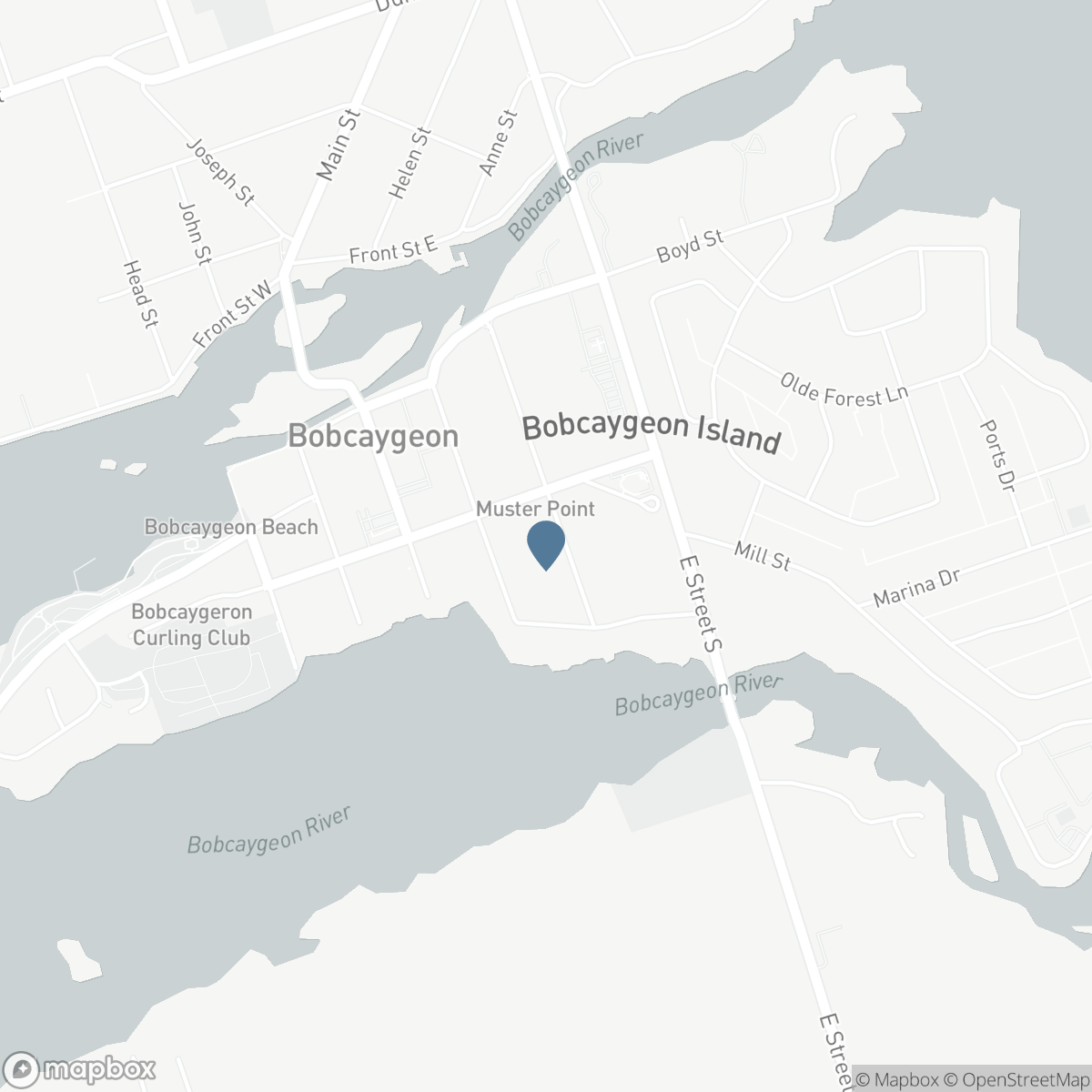 99 NEED STREET, Bobcaygeon, Ontario K0M 1A0